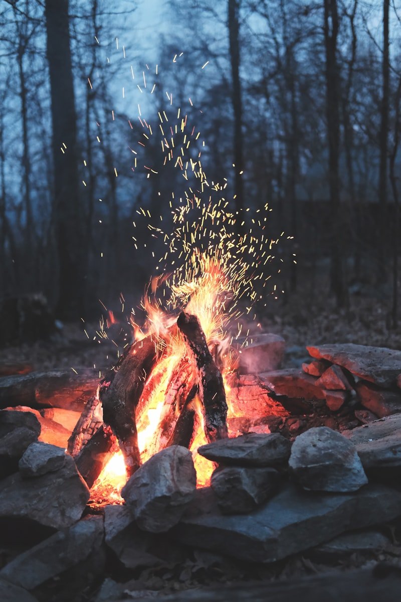 Allume-Feu Écologique Laine de Bois (Boîte de 50 pcs)